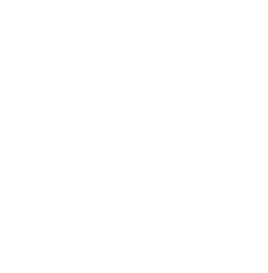 HISTORY